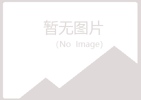 博湖县紫山会计有限公司